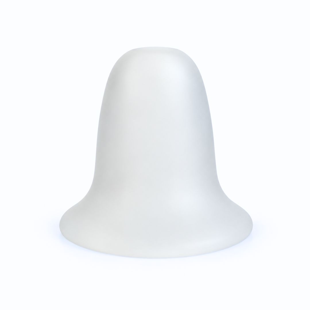 photo1.jpg304